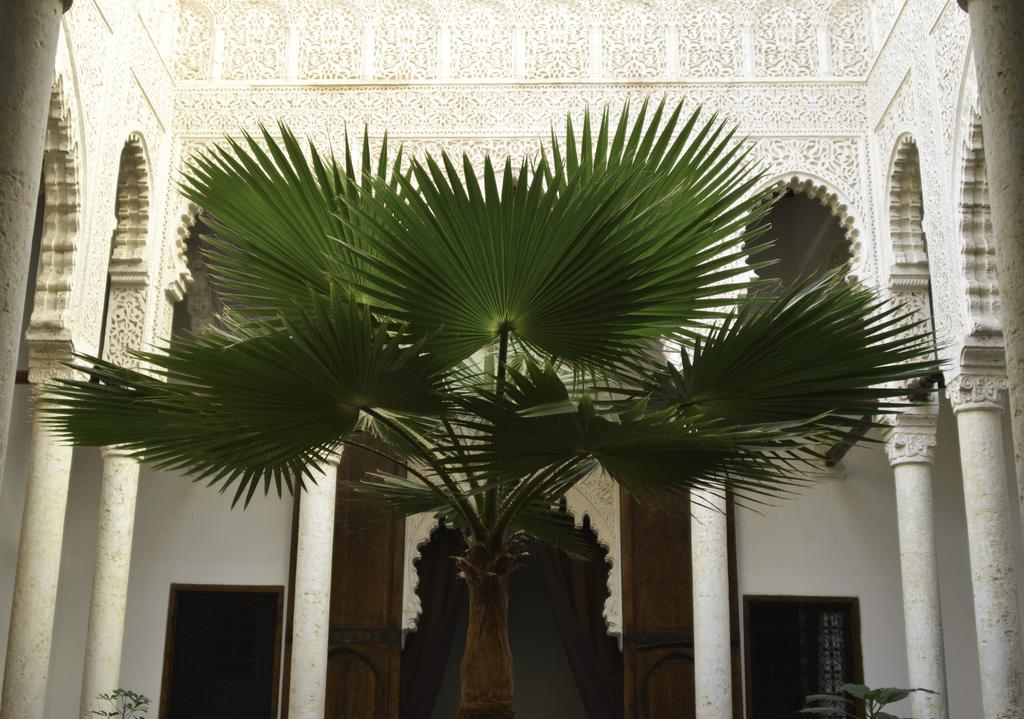 Riad Azahra Rabat Extérieur photo